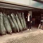 Kerstbomen groothandel Nederland