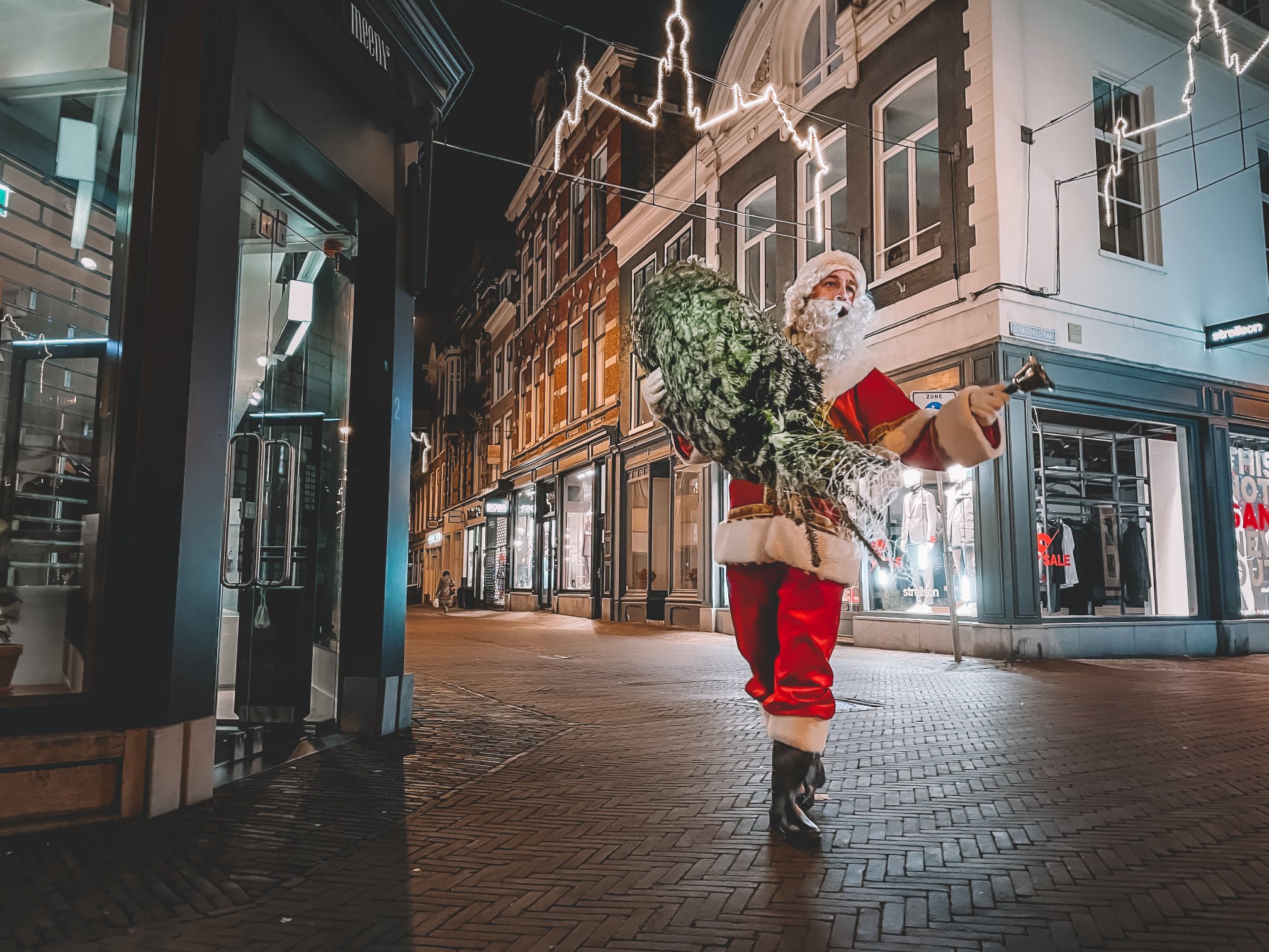 Kerstbomen groothandel Nederland